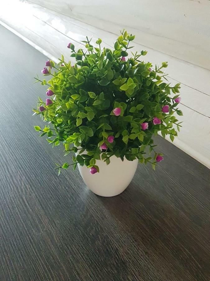Casa De Greta Apartment Svityaz' Ngoại thất bức ảnh